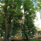 Поликлиническое отделение №3 в Матушкино Фотография 6