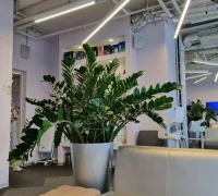 Стоматологическая клиника ОртоЛайк на бульваре Энтузиастов Фотография 2