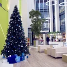 Медицинская клиника Hadassah Medical Фотография 16