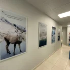 Медицинский центр Гиппократ на Совхозной улице Фотография 6