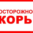 Детская городская поликлиника №94 в Покровском-Стрешнево Фотография 8